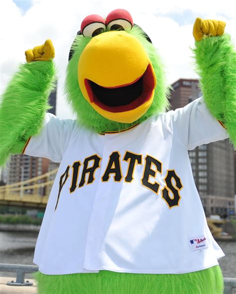 Pittsburgh pirates mascot drug dealer